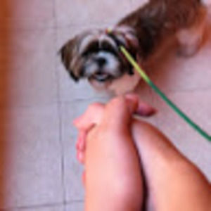 Meet your Posher, Andrea